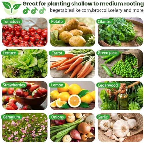 2 Pack Tall 8x4FT Corrugated Galvanized Steel Raised Garden Bed Outdoor, Oval Raised Beds for Gardening, Metal Above Ground Garden Bed for Vegetables and Flowers - size: 8x4FTx16inch