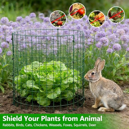 10 Pack 12x14 Inch Plant Cages, Metal Garden Protector from Animals - color: 10 Pack, size: 12x14 IN