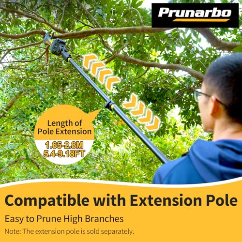 40mm 1.6inch Cordless Electric Pruning Shears for Orchard Pruning - style: PR-E40