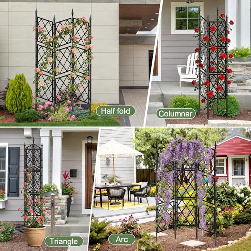 63 Inch Black Metal Pipe Garden Trellis Support Fence Frame for Climbing - color: Black
