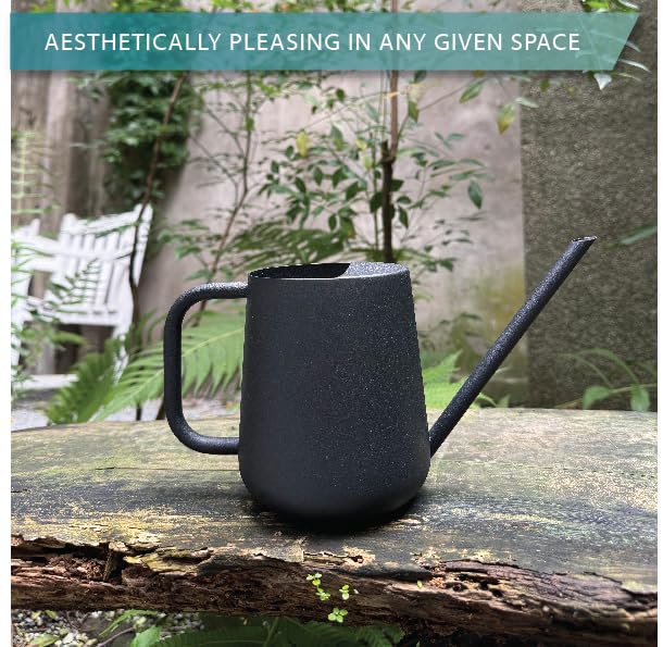 Metal Indoor Plant Watering Can with Long Spout 1000ml - Black - color: Dashing Black