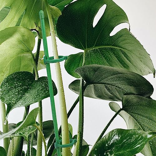 20 Pcs Plant Support Stakes Height Adjustable (12 Inch) - size: 20Pcs