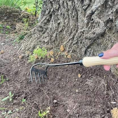 DeWit Bio Rake Cultivator – Garden Hand Tool with Hardened Boron Steel Tines & Ash Hardwood Handle