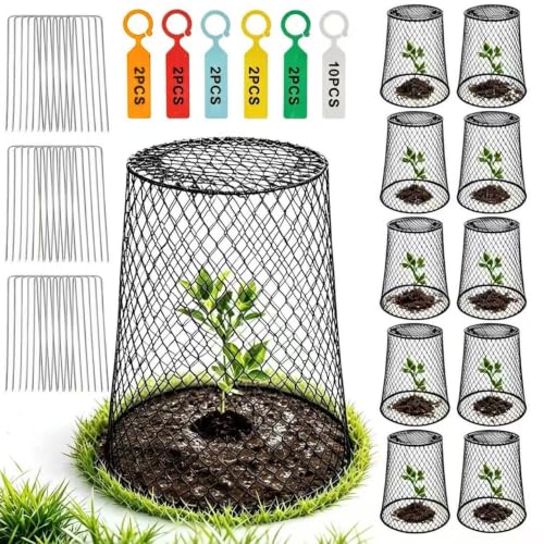 10 Pack 9.13"x9.13" Wire Cloche for Plants Cloche Plant Protectors