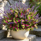 Artificial Coleus Lavender Fake Plants Faux Greenery, 10 PCS