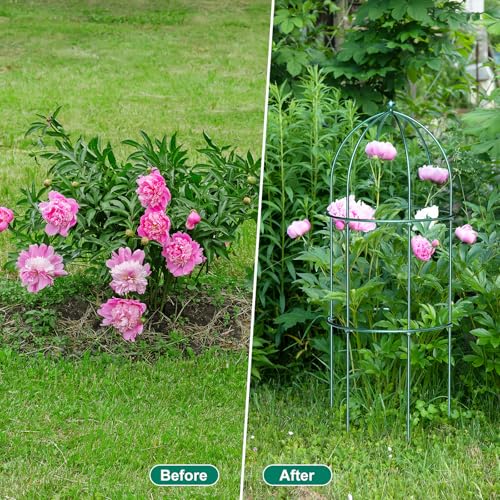 DoCred 3 Pack Peony Cage, 17.7" x 47.2" Metal Plant Support Garden Trellis - color: Deep Green, size: 47.2"H x 17.7"W/3PC