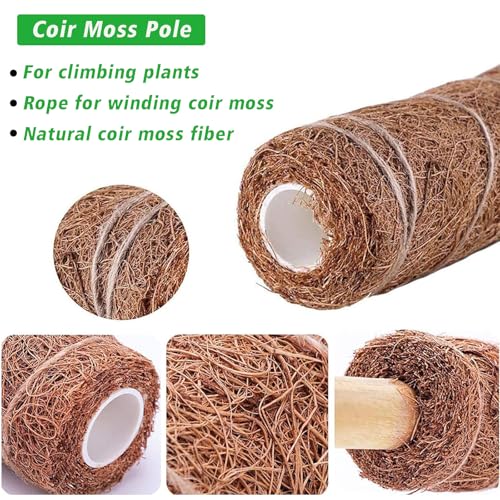 YEAJON 4 Pcs 15.7 Inch Coir Moss Totem Pole Monstera Plant Support with 2 Pcs 32.8ft Jute Rope, Plant Stakes for Indoor Plants Climbing, Support Extension(4 Packs 15.7 Inch)