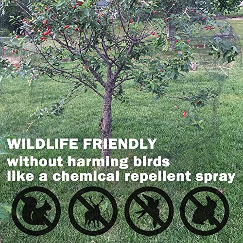 POYEE Bird Netting, 13x40FT Heavy Duty Garden Netting - size: 13x40FT