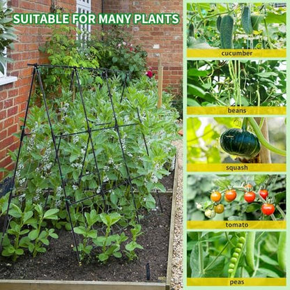 OTOSUNNY Cucumber Trellis for Raised Garden Bed, 50 x 48 in, Black - color: Black