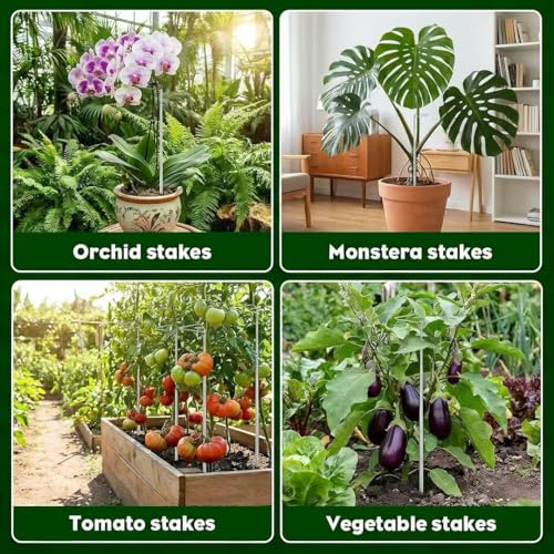 6 Pack Extendable Metal Plant Stakes for Indoor Plants Flowers, Tomatoes