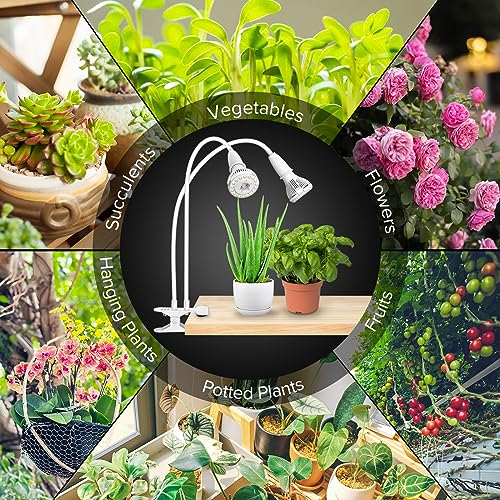 Clip on Grow Lights for Plants, 20W LED Bulb, 300W Equivalent - size: 2 Head
