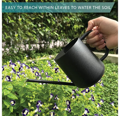 Metal Indoor Plant Watering Can with Long Spout 1000ml - Black - color: Dashing Black