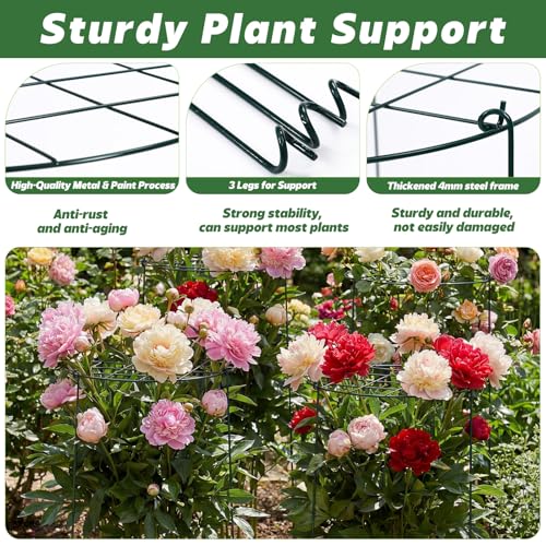 4 Pack Round Peony Cages and Supports, 20 x 30 Inches (D x H) - size: 20 x 30 Inches