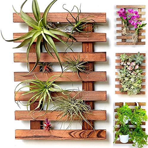 ShopLaLa Wooden Wall Planter for Succulents (40cm) Air Plant Wall Hanger - size: 40cm (15.7")