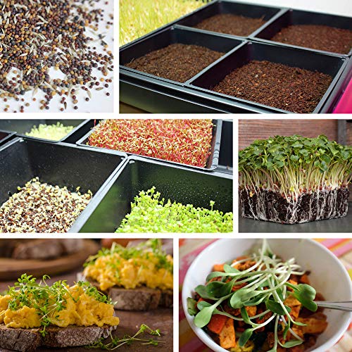 Handy Pantry 10-Pack 1010 Garden Growing Trays Without Drain Holes - style: Without drain holes