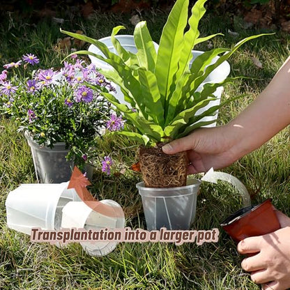 10 Pack Clear Plant Nursery Pots with Drainage 6 Size Plastic Orchid Pots - size: MIX-6 Sizes