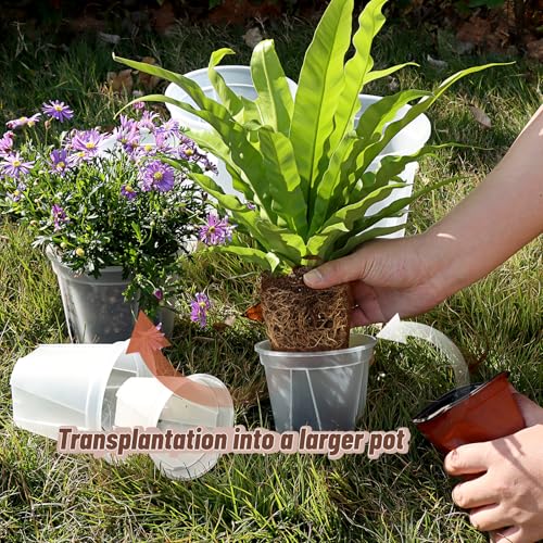 11" Clear Plant Nursery Pots with Drainage Plastic Orchid Pots 10 Pack - size: 11 inch