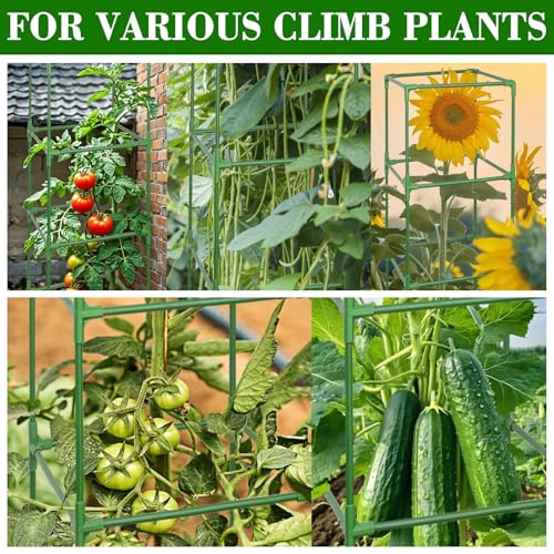 ZeeDix 60 Inch 4 Pack Heavy Duty Tomato Cages with Clips - color: Green-4 Pack, size: 60-inch