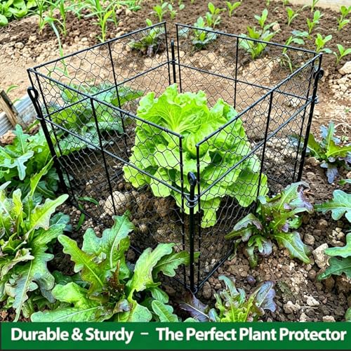 Plant Protectors from Animals, 5 Pack Metal Plant Cage 13.8"x13.8"x12" - size: （13.8"L x 13.8"W x 12"H）5 Packs