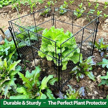 Plant Protectors from Animals, 5 Pack Metal Plant Cage 13.8"x13.8"x12" - size: （13.8"L x 13.8"W x 12"H）5 Packs