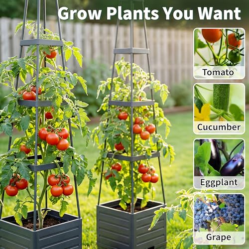 Tomato Planter with Trellis, 57 Inch Self-Watering Planter Box 2-Pack, Grey Planter with Metal Support for Outdoor Indoor Climbing Plants - size: Trapezoid