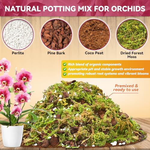 Riare 1QT Orchid Potting Mix for Repotting, Pre-Mixed & Ready-to-Use - size: 1 Quart