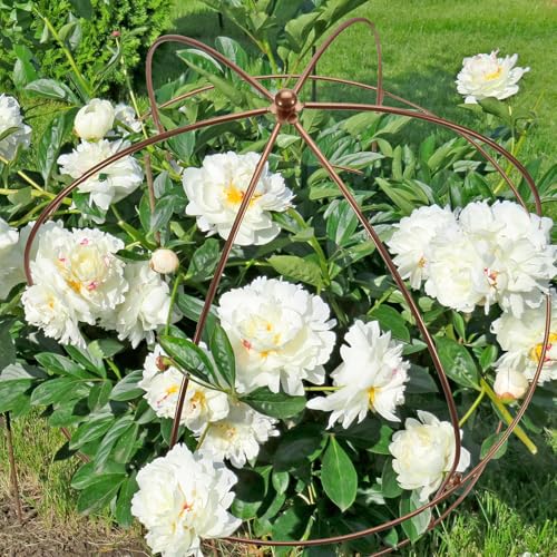NNG 26 Inch Bird Cage Plant Support, Metal Grow-Through Cage with Dome Top