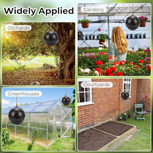 4 Pcs Large Fly Trap Balls Hanging Fly Catcher,Insect Bug - style: Insect Bug