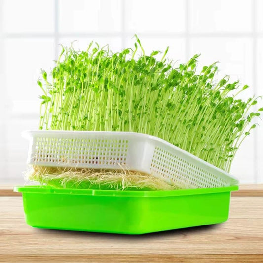1 Piece Seed Germination Tray Soilless Hydroponics Vegetable Flower Transplant Pot Home Garden Convenient Nursery Tool Green,22 * 14.5 * 3cm