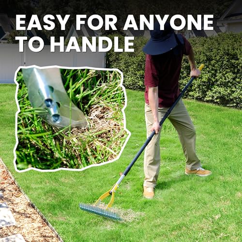 Thatch Rake for Lawn with 74inch Handle, 15 inch Dethatcher Rake for Grass to Cleaning Dead Grass, Efficient Steel Metal Rake for Dethatching, Heavy Duty Thatching Rakes for Garden, Yard