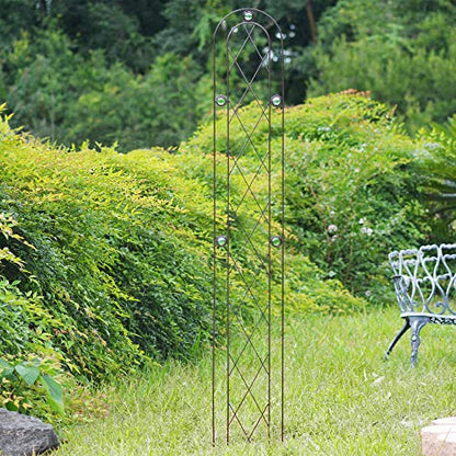 Arcadia Garden Products TR03 Arched Garden Trellis 6' x 10", Black - size: 6' x 10", style: Emerald Series Trellis