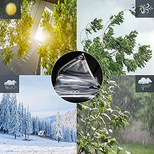 Clear Vinyl Tarp - 0.35mm Clear PVC Tarp, with Grommets and Tying Rope - Duty Heavy Tear Resistant Cover for Camping, Plants Greenhouse, Cars, Patio and Pavilion (4' x 6') - size: 4' x 6'