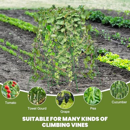 Cucumber Trellis 2 Pack,Foldable A-Frame Garden Trellis - color: Green, size: 39.4" H