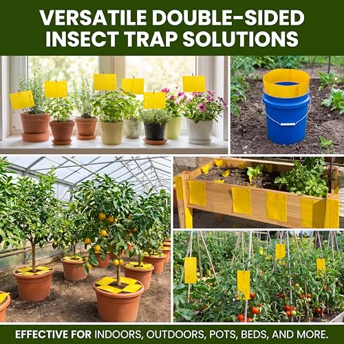 Qualirey 100 Pcs Yellow Sticky Traps for Gnats, 9.8 x 5.9 Inch - color: Yellow, size: 9.8 x 5.9 Inch