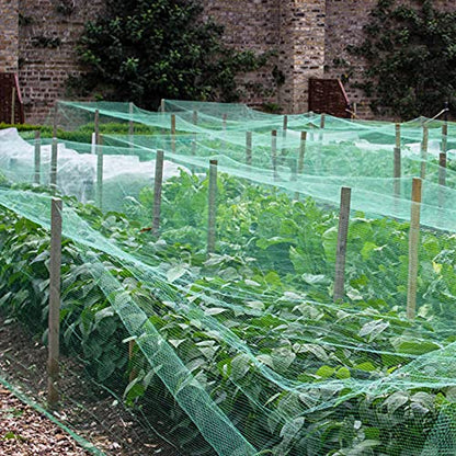 Bird Netting 25'x50' with 1" Square Mesh Bird Net Garden Netting for Chicken Coop, Aviary, Deer Fence, Fruit Tree - size: 25*50ft