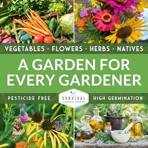 Indoor Herb Seeds Variety Pack - 10 Herbs for Planting