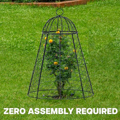 Life Finds Chicken Wire Garden Cloche Set, 6 Pack, LF-GC6P