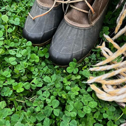 Mountain Valley Seed Co Micro Clover Seed for Lawn 1 Oz ~25,000 Microclover - size: 1 Oz Packet