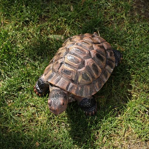 Turtle Statue, Resin Garden Sculpture Indoor/Outdoor Yard Lawn Ornament,Home Decor (Medium) - size: Medium