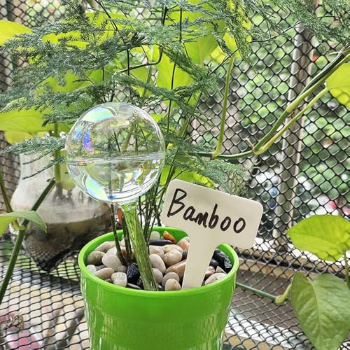 Glass Plant Watering Device, Planter Self Watering Globes for Home Potting - color: R.Clear Glass 6pcs