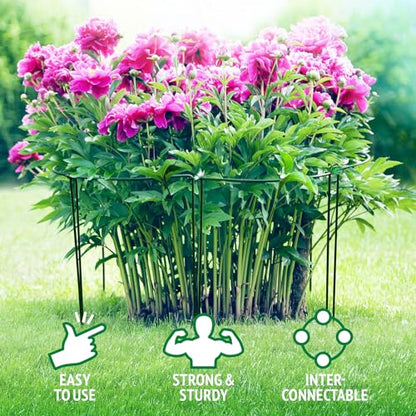 24 Inch Peony Cages and Supports for Large Hydrangea Bushes, Outdoor Plants, Heavy Duty Tall Plant Support Stakes, 12 Pack - Tool-Free Interlocking Design with Powder Coated Rust-Proof Metal Ring