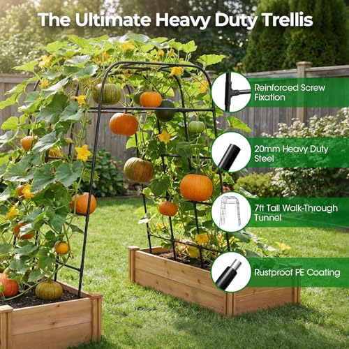 Garden Arch Trellis for Climbing Plants (83" H x 57" L), Metal Cucumber & Tomato Cage, Rustproof Walk-Through Tunnel Support for Pumpkin, Squash, Melon & Rose - style: 83" High x 57" Long (4-Arch)