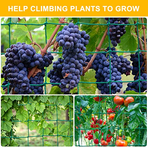 Garden Trellis Netting for Climbing Plants Outdoor, Plant Netting for Cucumber, Tomato, 6.6x32.8 FT Trellis Net with 4x4 Inch Mesh as Vegetable Netting for Grape, Bean,Growing Pea,w/Plant Clips - size: 6.6x32.8 FT
