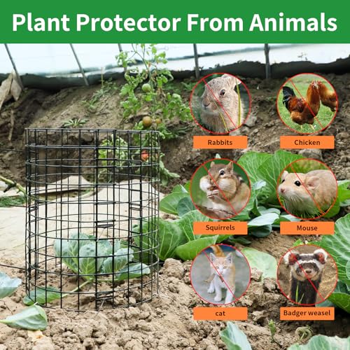 5 Pack Plant Protector from Animals, 24x12 Inches Wire Plant Protector, Plant Cages to Keep Animals Out - size: 5 Pack, 12"x24"