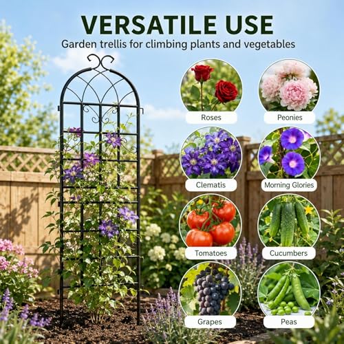 2-Pack 71" Black Metal Garden Trellises with Butterfly Design - color: 2 Pack 71"- Butterfly Black