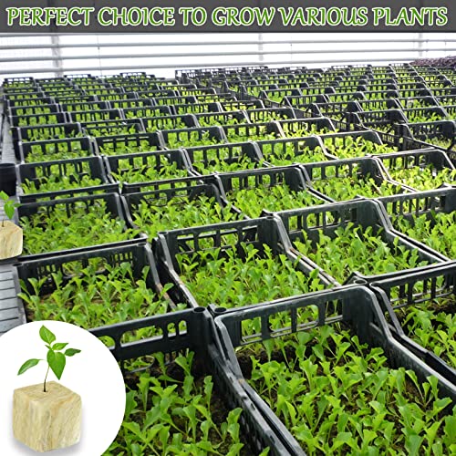 Legigo 2 Inch Rockwool Cubes Seed Starter Plugs for Hydroponics, 96 Plugs - color: 2 Sheet, size: 2" Plugs