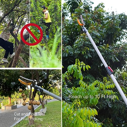 Soft Home 4.6-10 Ft Long Reach Tree Pruner Extendable, Fruit Picker, Telescoping Tree Pruner, Fruit Tree Branch Trimmers Long Handled Pruner, Cut and Hold Pruner
