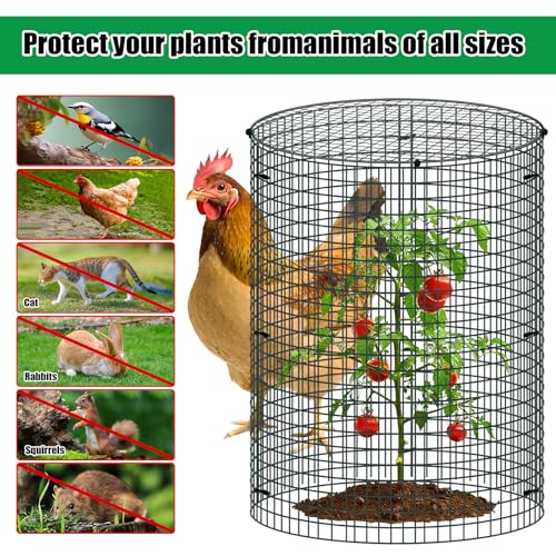 10 Pack Wire Plant Protector with Cover, 16"x12"