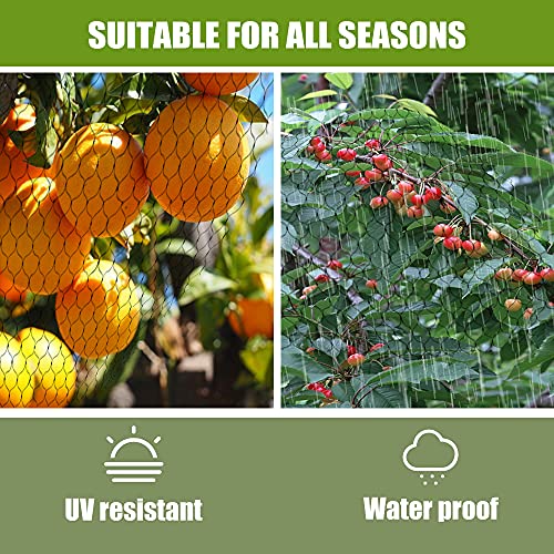 Bird Netting for Garden 13x26ft 0.4inch Mesh Green Garden Netting Protect Fruit Trees, Blueberry Bushes, Strawberry Plants, Vegetables, Flowers from Birds, Deer, Squirrels, Rabbits and Other Animals - size: 13x26ft, 0.4inchx0.4inch mesh