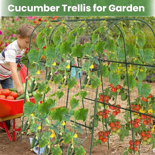 Cucumber Trellis, Metal Garden Arch Trellis for Raised Bed, 48 x 48inch U-Shape Garden Trellis for Climbing Plants Outdoor, Vegetables Fruit Plant Support with Netting, Gardening Supplies (Green) - size: 48 x 48 inch